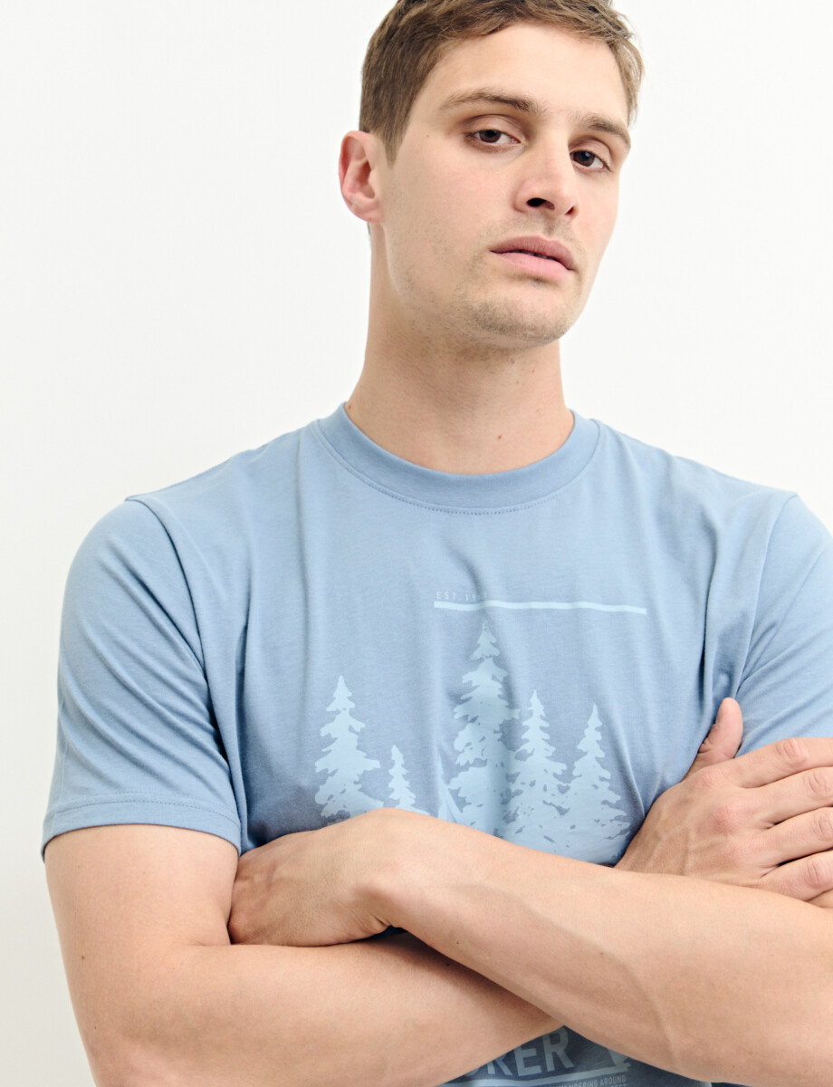 520307 T-SHIRT HARRY Celeste