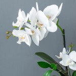 ORQUIDEA DOBLE ARTIFICIAL C/BASE 32x15x34CM DORADO ORQUIDEA DOBLE ARTIFICIAL C/BASE 32x15x34CM DORADO