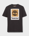Polera Stack Logo Colored Short Sleeve Tee Hombre 001
