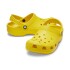 Classic Clog - Unisex Sunflower