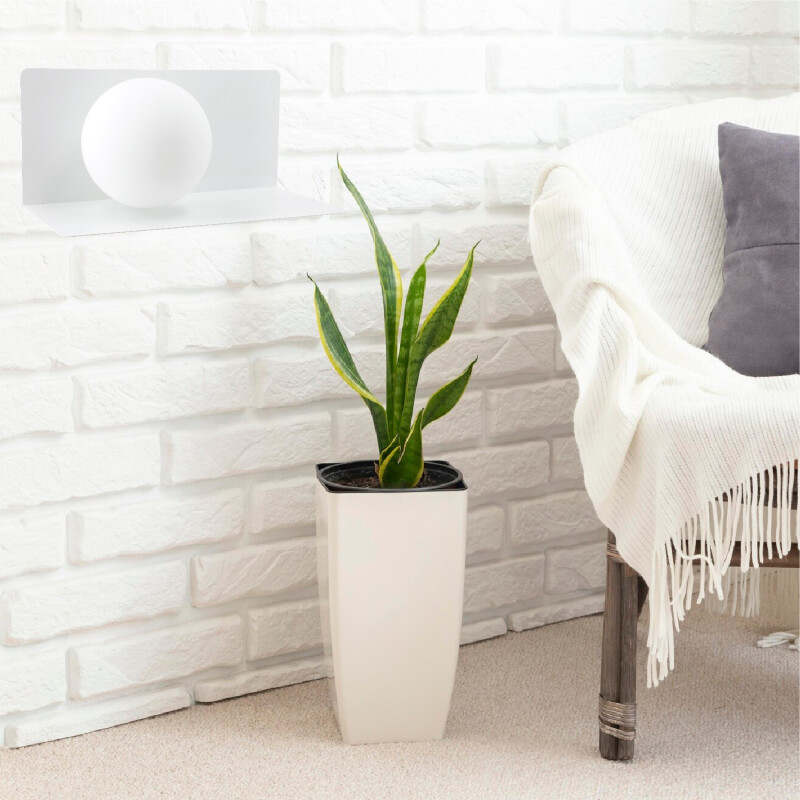 LUMINARIA DE PARED TODD Luminaria de Pared Todd Blanca