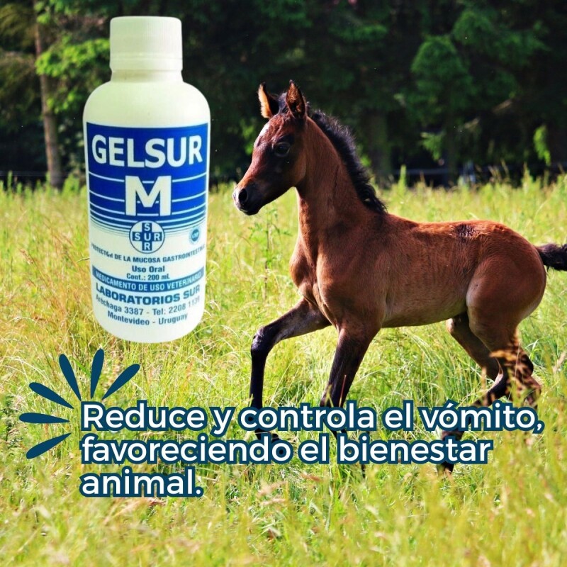GELSUR M 200 ML GELSUR M 200 ML