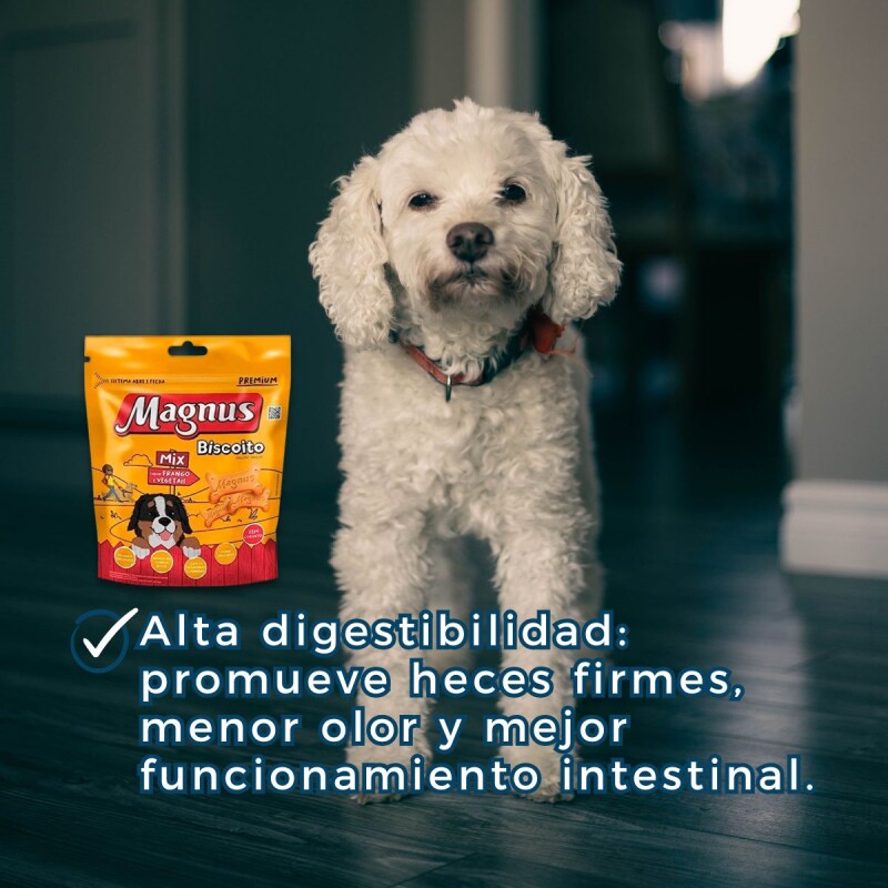 GALLETAS MAGNUS 500 G GALLETAS MAGNUS 500 G