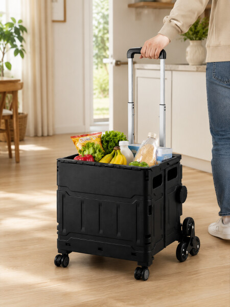 CARRO CAJA PLEGABLE NEGRO