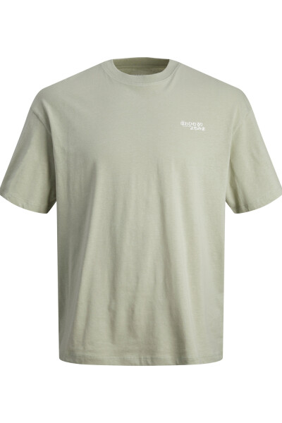 PLAYERA DIRK Desert Sage