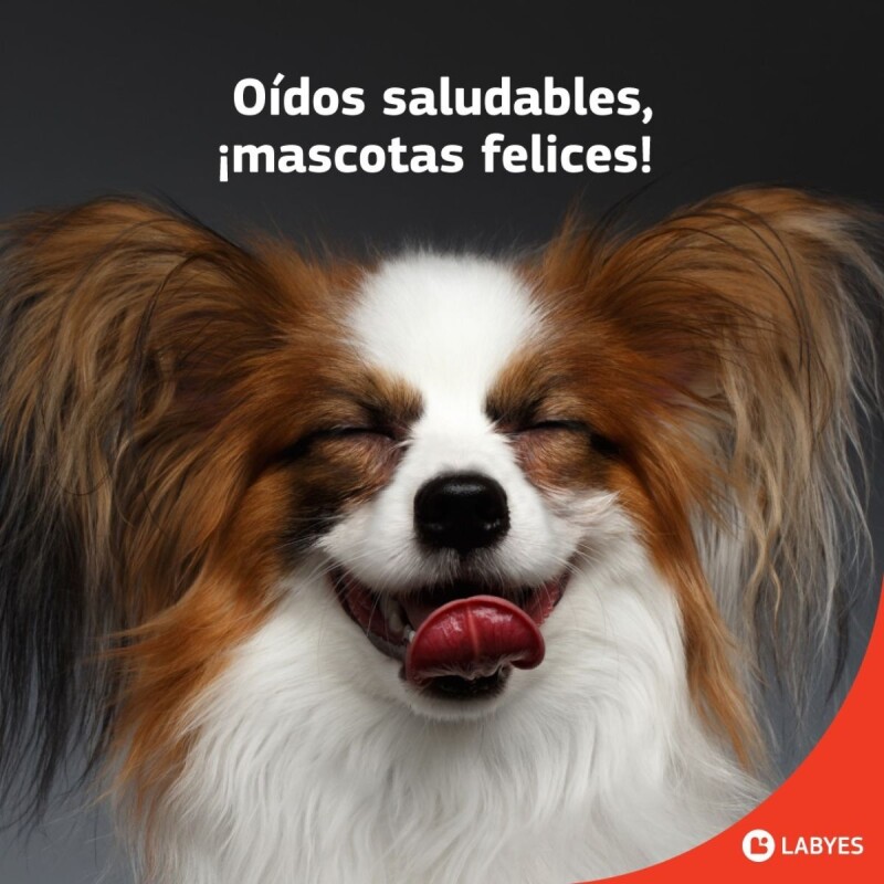 OTIFLEX LIMPIADOR DE OIDOS 25 ML OTIFLEX LIMPIADOR DE OIDOS 25 ML