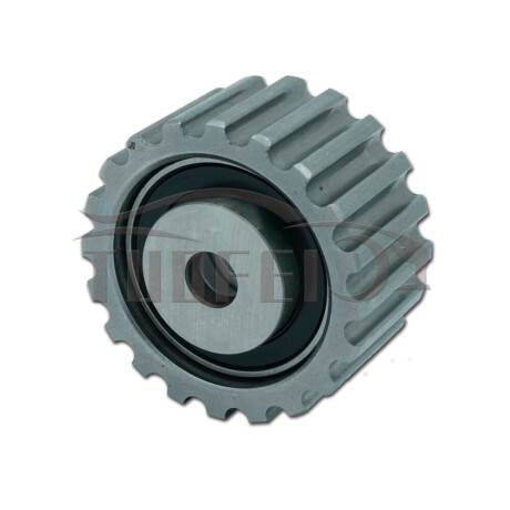 POLEA DE MOTOR RENAULT ENGRANAJE ARBOL LEVAS EXPRES KANGOO DIESEL - POLEA DE MOTOR RENAULT ENGRANAJE ARBOL LEVAS EXPRES KANGOO DIESEL -
