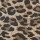 Sobre Alma Leopardo