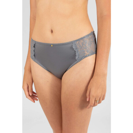 Colaless alta noctis Gris