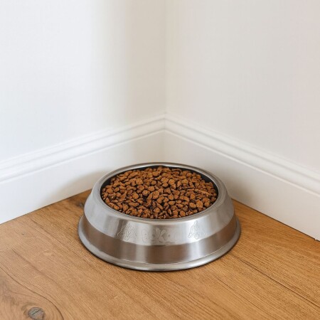 PLATO MASCOTA ARQPLAST 32X10CM PLATO MASCOTA ARQPLAST 32X10CM