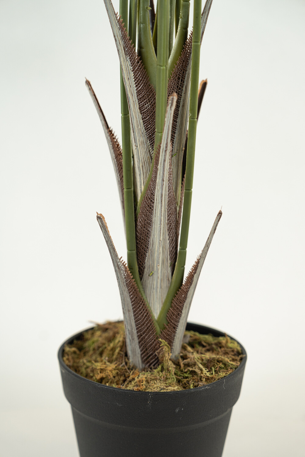 Planta Palm100cm Color Unico