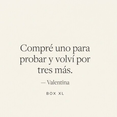 Organizador Storage Box XL Cristal Organizador Storage Box XL Cristal