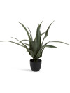 Planta artificial CELIUS A65cm aloe vera Planta artificial CELIUS A65cm aloe vera