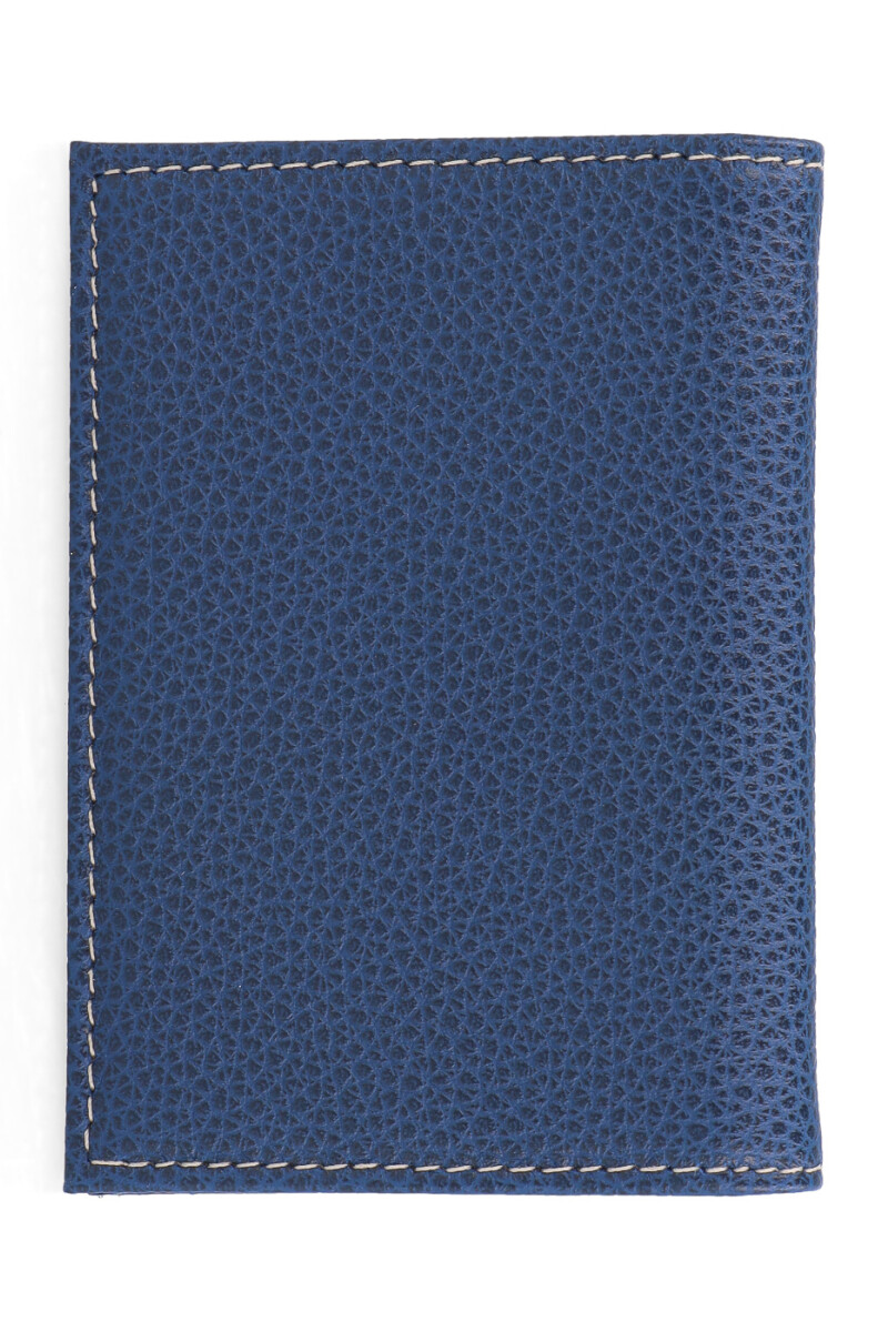 Tarjetero libro Azul