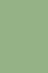 Lala corto Verde agua