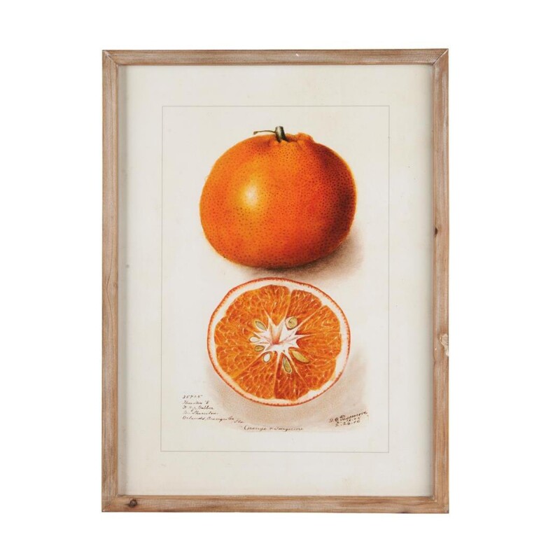 Cuadro Citric Mandarine