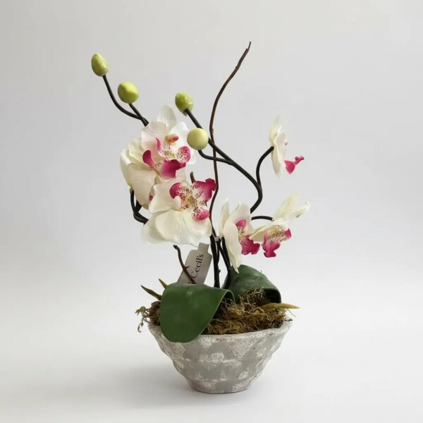 Orquidea Artificial Blanca En Maceta Orquidea Artificial Blanca En Maceta