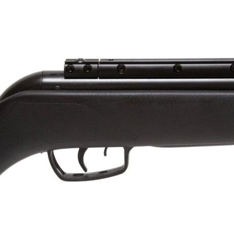Carabina de nitro pistón Big Cat 100-E IGT cal 5.5mm Carabina de nitro pistón Big Cat 100-E IGT cal 5.5mm