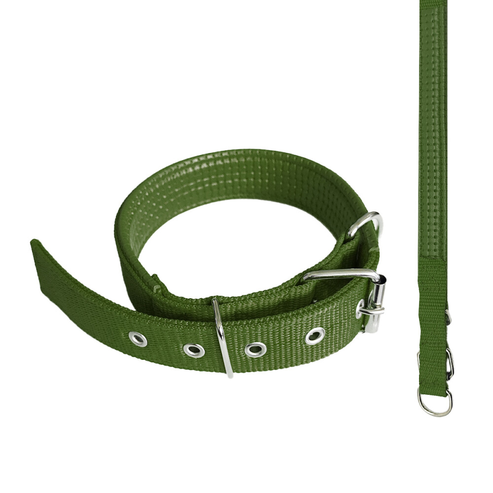 Collar 3cm Perros Acolchado Cómodo Ajustable Suave Color verde