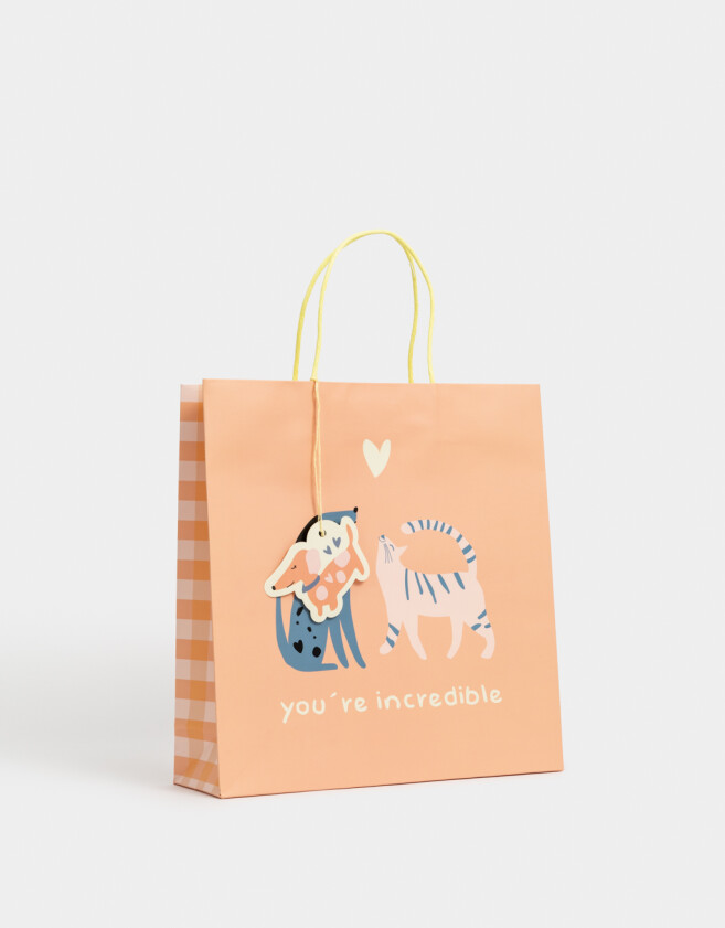 Accesorios Regalos Animalito Bolsa De Regalo Mediana "you¨re Incredible" - Combinacion Multicolor
