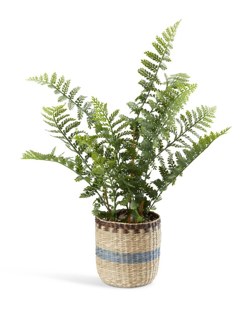 Maceta JONATAN Ø15xA15cm natural Maceta JONATAN Ø15xA15cm natural