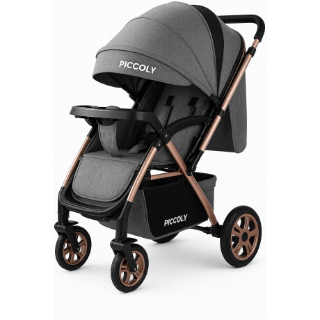 Coche Carriola de Paseo Para Bebe Plegable Gris