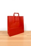Bolsa lisa acuario 30x12x32 cm ROJO