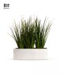 KIT Jardinera "Natural" 1m* 30cm* 30cm* C/Dietes y Sustratos