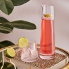 PORTMEIRION CREATURES OF CURIOSITY JARRA CON VASO PORTMEIRION CREATURES OF CURIOSITY JARRA CON VASO