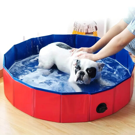 Piscina Plegable Para Mascota 100x30cm PVC Antideslizante Bordó