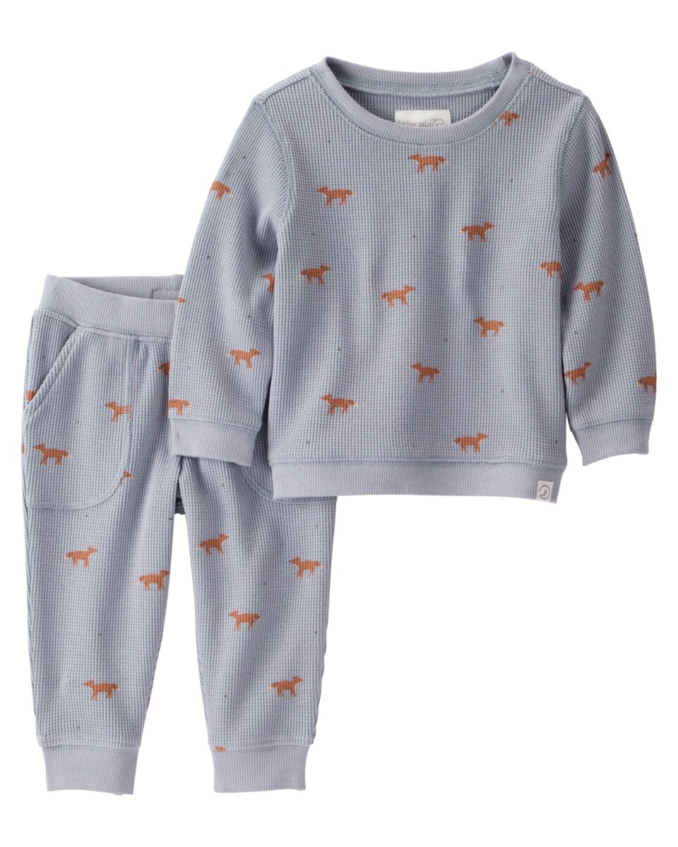 Set dos piezas de algodón orgánico, pantalón y buzo, diseño zorro 