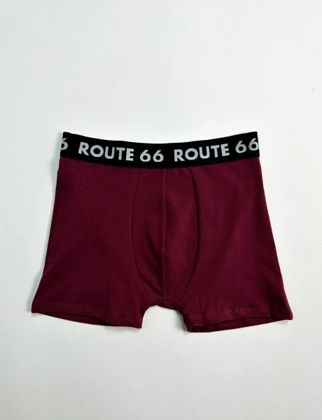 Boxer algodón Liso Bordo