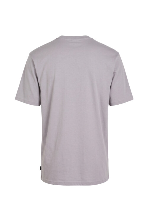 Remera O'Neill Overzized True Vintage Gris