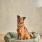 Cama para Mascotas verde