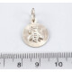 Medalla Plata Con Símbolo Abeja Medalla Plata Con Símbolo Abeja