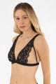 Halter eritrina Negro