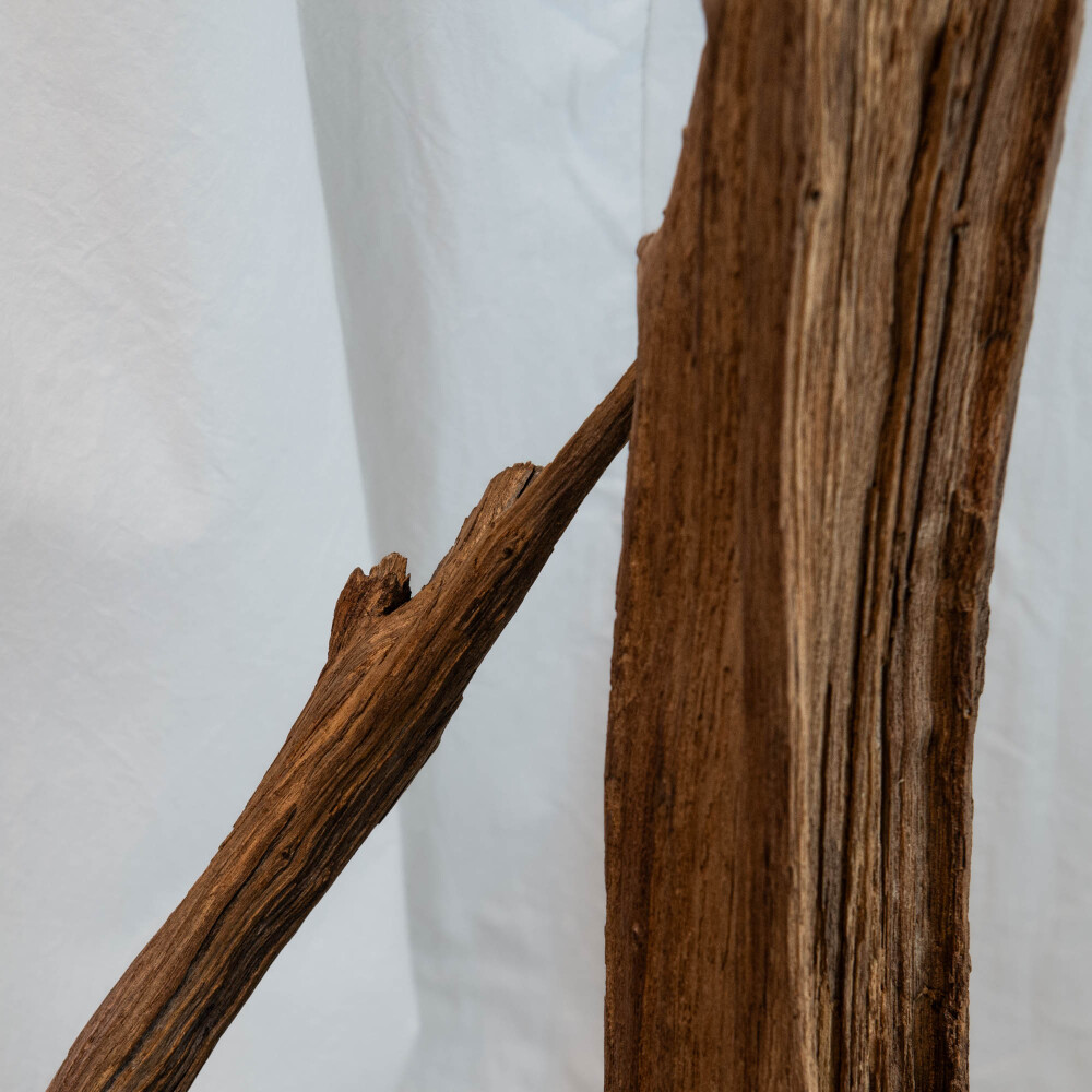 Escultura raiz de teka, l Escultura raiz de teka, l