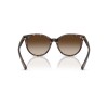 Ralph Lauren 5331u 5003/13