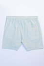 FEDE SHORTS Green