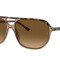 Rayban 2205 Havana Beige