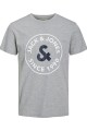 Camiseta Aaron Big-logo Core Light Grey Melange