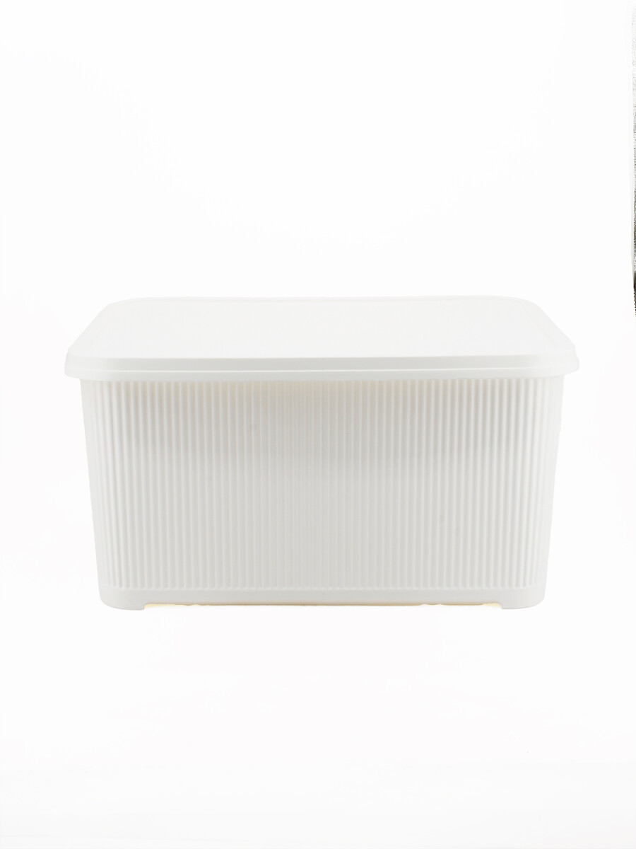 CAJA ORGANIZADORA CON TAPA - BLANCO 