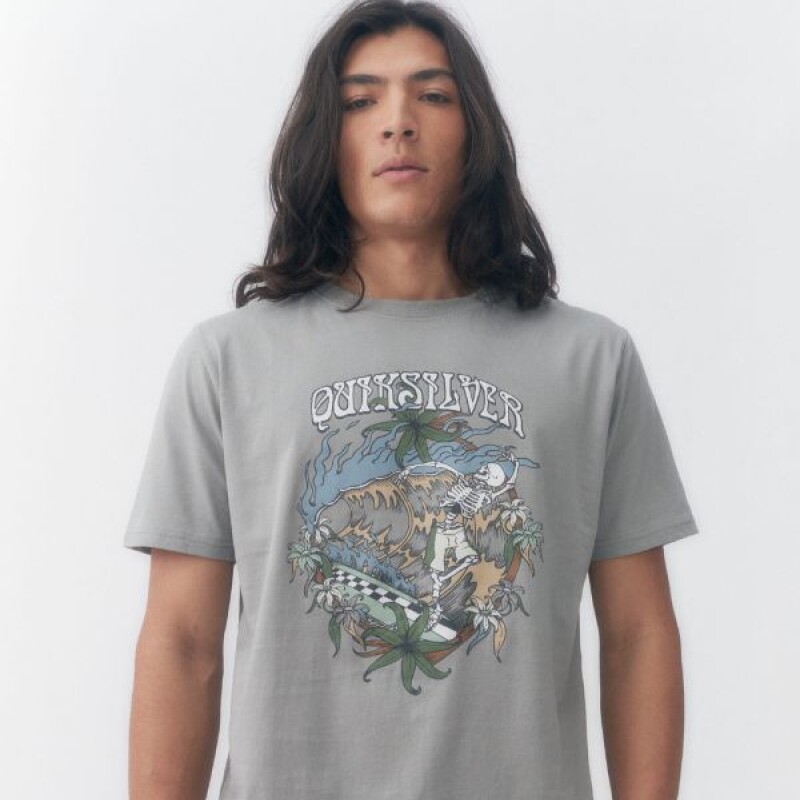 Remera Quiksilver In Waves Gris