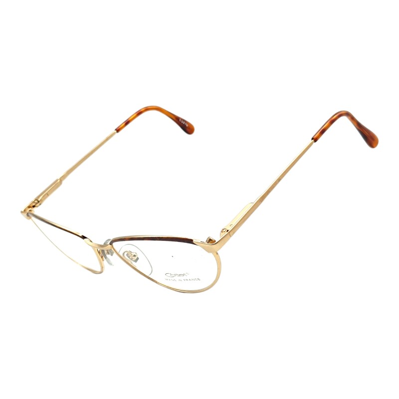 CQ293040 doradocombinado