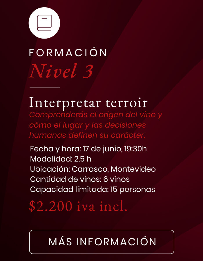 Experiencias - NIVEL 3