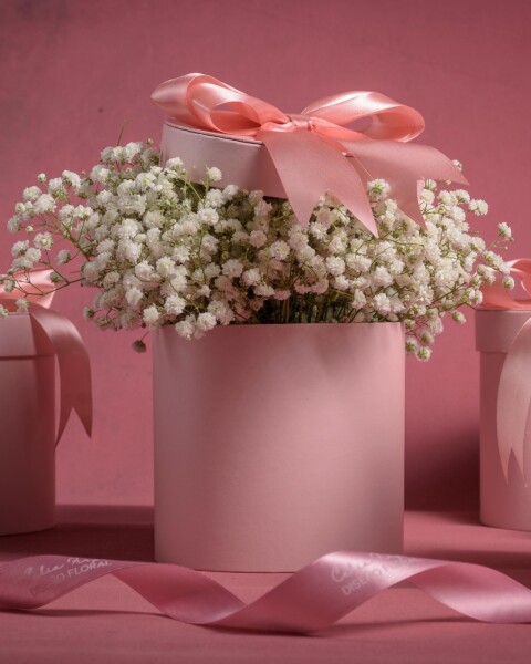 Box Rosa Ilusión Box Rosa Ilusión
