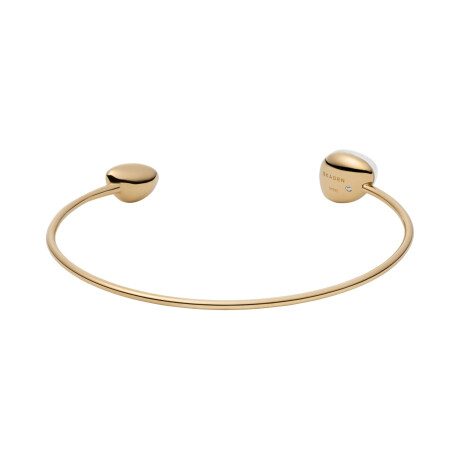 Pulsera Skagen Acero Oro 0
