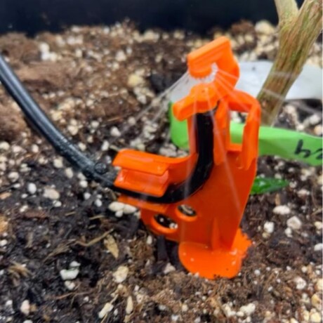 Estaca para Maxijet X1u. ideal Autocultivo Cannabis Estaca para Maxijet X1u. ideal Autocultivo Cannabis