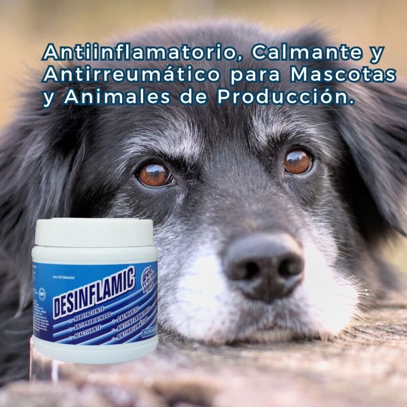 DESINFLAMIC GEL ANTIINFLAMATORIO CALMANTE ANTIREUMÁTICO X 100 GRS DESINFLAMIC GEL ANTIINFLAMATORIO CALMANTE ANTIREUMÁTICO X 100 GRS