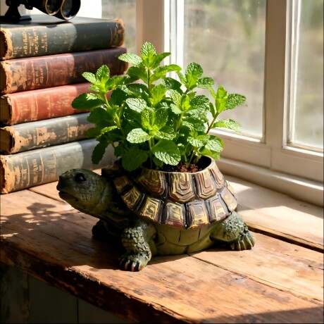 Maceta Con forma De Tortuga Maceta Con forma De Tortuga